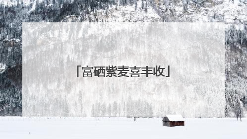 富硒紫麦喜丰收