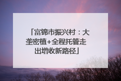 富锦市振兴村：大垄密植+全程托管走出增收新路径