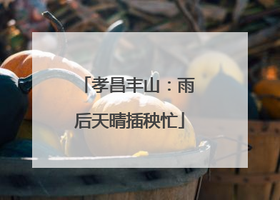 孝昌丰山：雨后天晴插秧忙