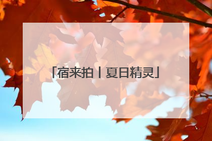 宿来拍丨夏日精灵