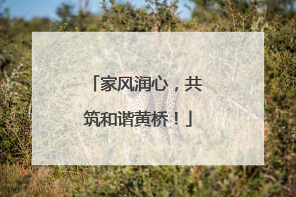 家风润心，共筑和谐黄桥！