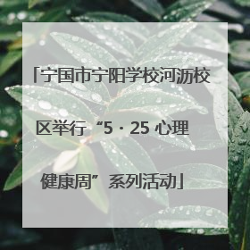 宁国市宁阳学校河沥校区举行“5・25 心理健康周”系列活动