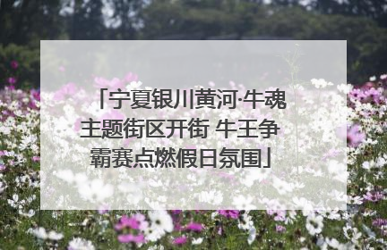 宁夏银川黄河·牛魂主题街区开街 牛王争霸赛点燃假日氛围