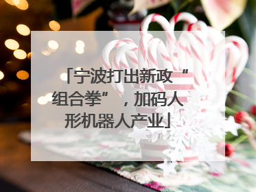 宁波打出新政“组合拳”，加码人形机器人产业