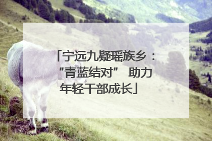 宁远九疑瑶族乡：“青蓝结对” 助力年轻干部成长