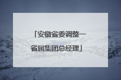 安徽省委调整一省属集团总经理
