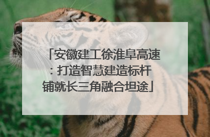 安徽建工徐淮阜高速：打造智慧建造标杆 铺就长三角融合坦途