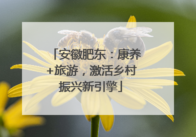 安徽肥东：康养+旅游，激活乡村振兴新引擎