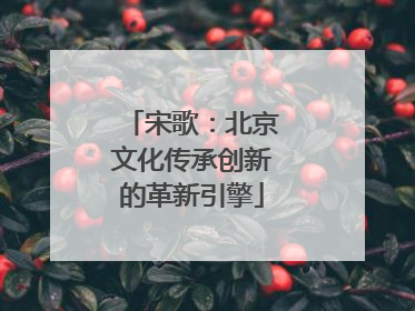 宋歌：北京文化传承创新的革新引擎