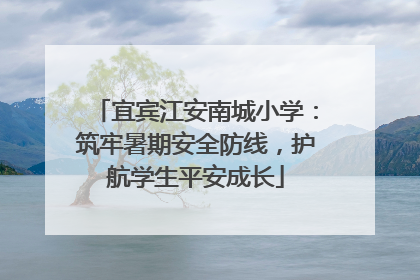 宜宾江安南城小学：筑牢暑期安全防线，护航学生平安成长