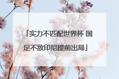 实力不匹配世界杯 国足不敌印尼提前出局