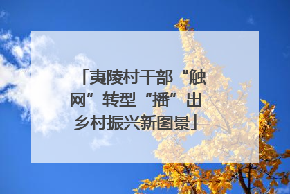 夷陵村干部“触网”转型“播”出乡村振兴新图景