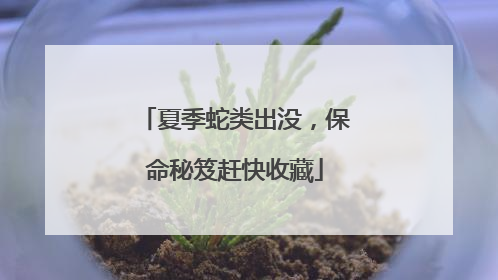 夏季蛇类出没，保命秘笈赶快收藏