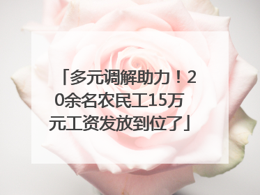 多元调解助力！20余名农民工15万元工资发放到位了