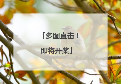 多图直击！即将开桨