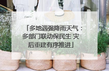 多地遇强降雨天气：多部门联动保民生 灾后重建有序推进