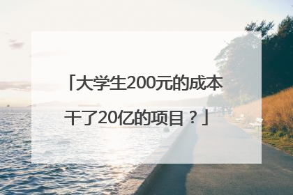 大学生200元的成本干了20亿的项目？
