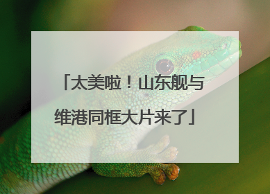 太美啦！山东舰与维港同框大片来了