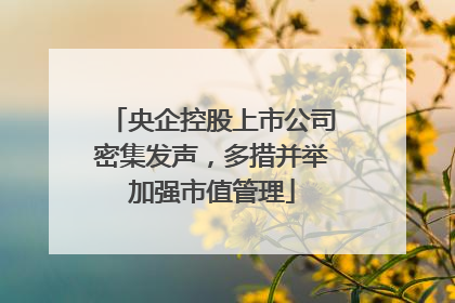 央企控股上市公司密集发声，多措并举加强市值管理