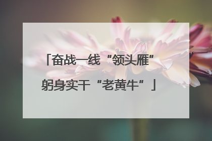 奋战一线“领头雁” 躬身实干“老黄牛”