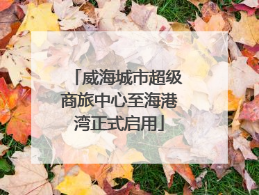 威海城市超级商旅中心至海港湾正式启用