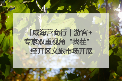 威海营商行｜游客+专家双重视角“找茬”，经开区文旅市场开展暑期前“体检”