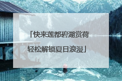 快来莲都碧湖赏荷 轻松解锁夏日浪漫