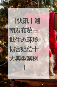 快讯丨湖南发布第三批生态环境损害赔偿十大典型案例