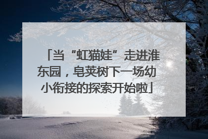 当“虹猫娃”走进淮东园，皂荚树下一场幼小衔接的探索开始啦
