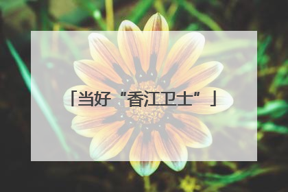 当好“香江卫士”