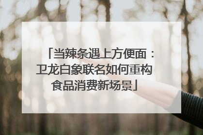 当辣条遇上方便面：卫龙白象联名如何重构食品消费新场景