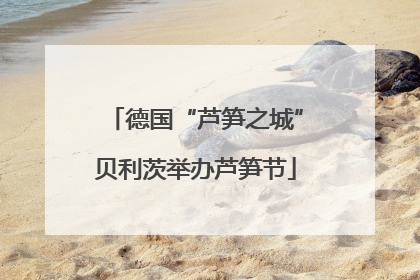 德国“芦笋之城”贝利茨举办芦笋节