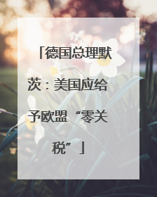 德国总理默茨：美国应给予欧盟“零关税”