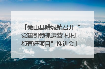 微山县驩城镇召开“党建引领抓运营 村村都有好项目”推进会