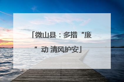 微山县：多措“廉”动 清风护安