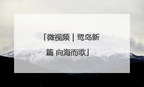 微视频｜鹭岛新篇 向海而歌