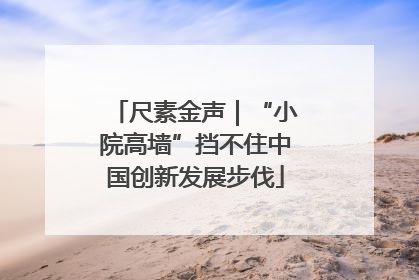 尺素金声｜“小院高墙”挡不住中国创新发展步伐
