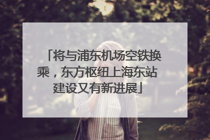 将与浦东机场空铁换乘，东方枢纽上海东站建设又有新进展