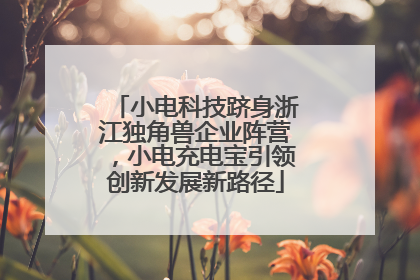 小电科技跻身浙江独角兽企业阵营，小电充电宝引领创新发展新路径