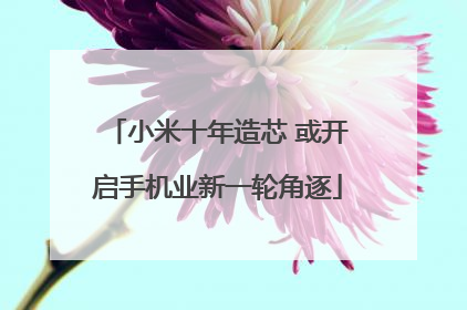 小米十年造芯 或开启手机业新一轮角逐