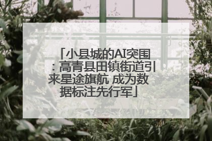 小县城的AI突围：高青县田镇街道引来星途旗航 成为数据标注先行军