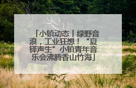 小镇动态丨绿野音浪，工业狂想！“夏铎声生”小镇青年音乐会沸腾香山竹海