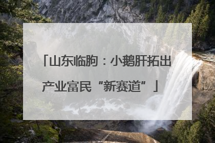 山东临朐：小鹅肝拓出产业富民“新赛道”