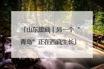 山东援藏｜另一个“青岛”正在西藏生长