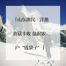 山东惠民：洋葱喜获丰收 鼓起农户“钱袋子”