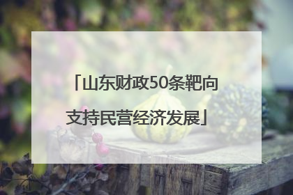 山东财政50条靶向支持民营经济发展
