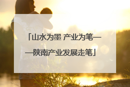 山水为墨 产业为笔——陕南产业发展走笔
