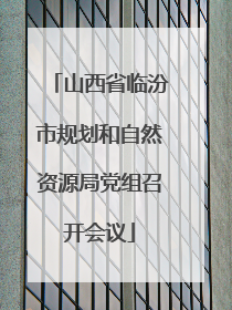 山西省临汾市规划和自然资源局党组召开会议