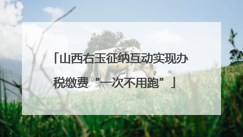 山西右玉征纳互动实现办税缴费“一次不用跑”