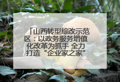 山西转型综改示范区：以政务服务增值化改革为抓手 全力打造“企业家之家”贴心服务体系